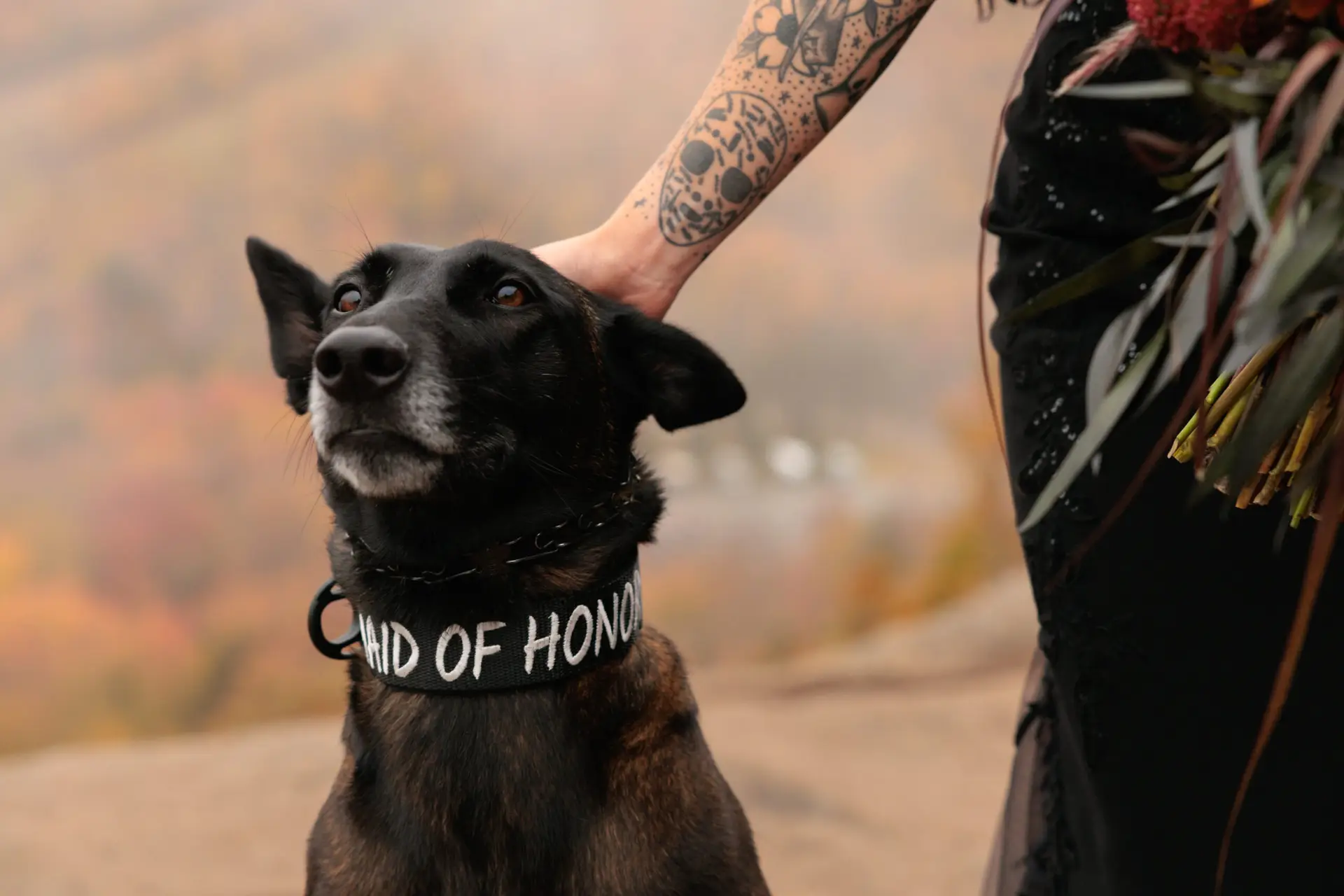 10/10/24 – Sasha & Dylan Previews