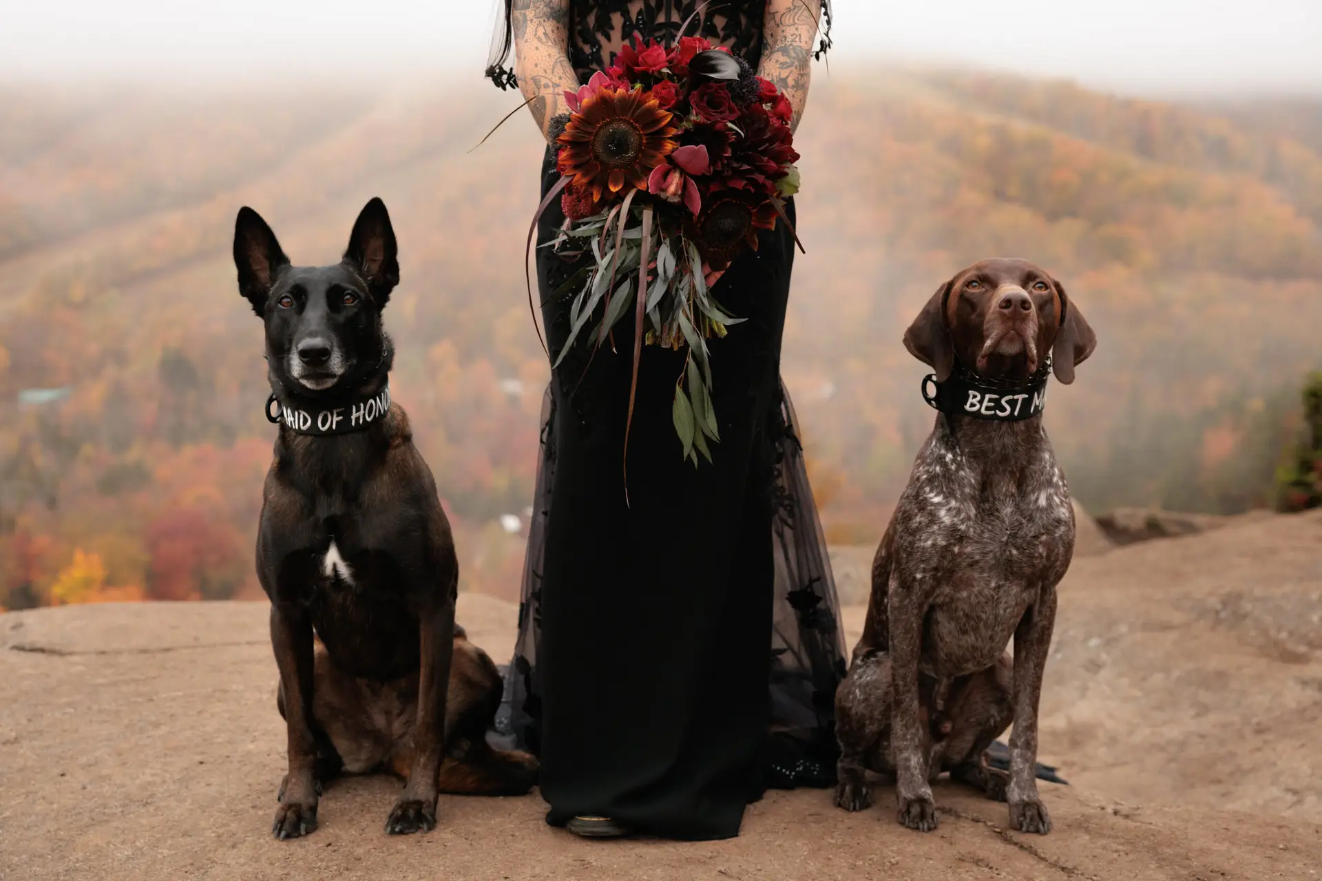 10/10/24 – Sasha & Dylan Previews